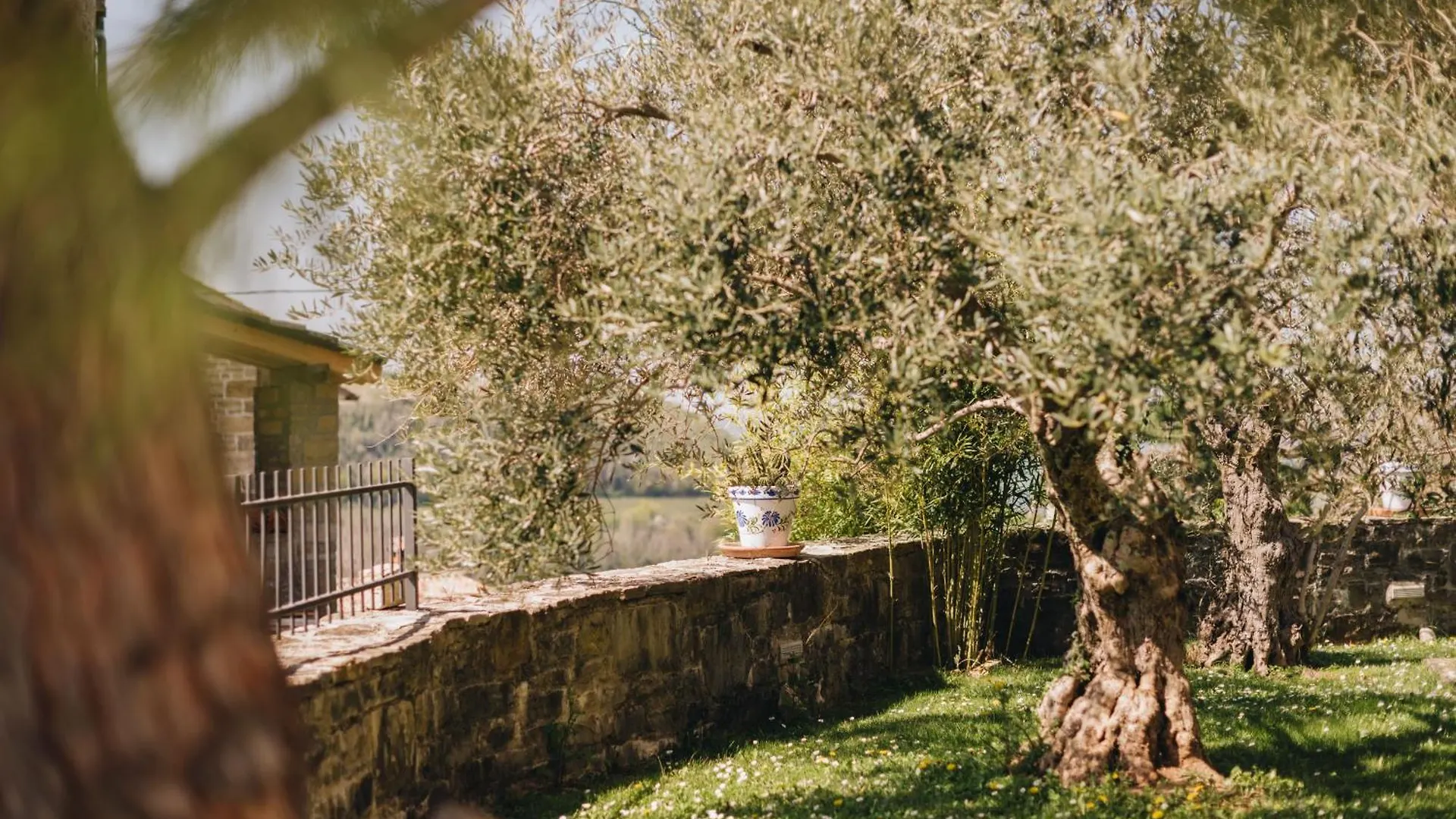 Villa Dreamhill Meloni à Motovun